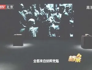 2011 BTV档案 金发野兽之死 720p高清纪录片