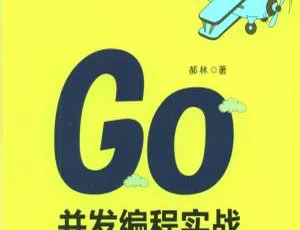 Go并发编程实战 第2版 Go语言高效开发指南