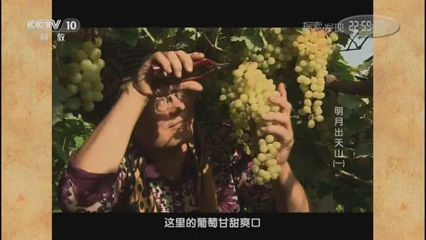 天山山脉生态