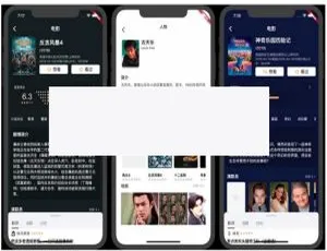 Flutter豆瓣客户端开发实战：开源项目案例解析