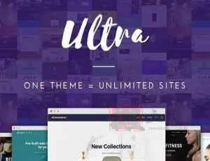 Themify Ultra 7.3.3中文汉化版：企业建站必备 可视化编辑WordPress主题-蓝海网