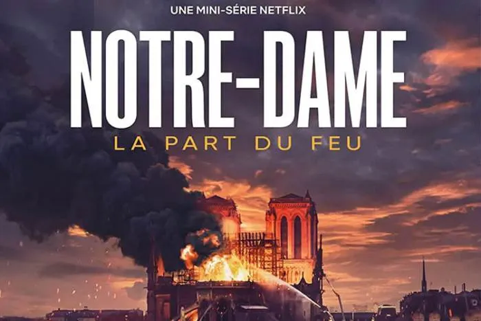 Netflix法剧推荐