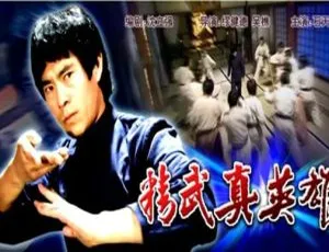 《精武真英雄2006》经典动作片高清收藏流言终结者少年队 全5集 720P 国语中字