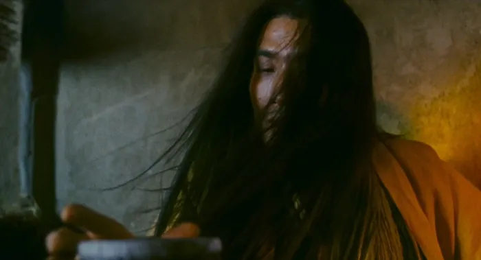 东邪西毒终极版2008