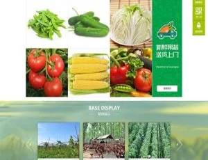 DedeCMS响应式生鲜企业网站模板-手机自适应果蔬公司官网源码日主题RiPro6.7最新版WordPress商城主题推荐 - 高效建站首选