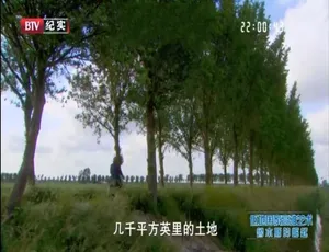 低地国家高雅艺术纪录片 全3集英语原声中文字幕