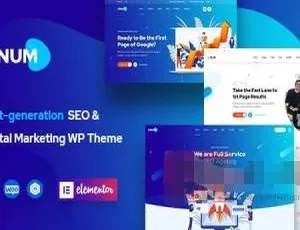 Onum中文汉化版：SEO优化企业营销响应式WordPress主题-蓝海网