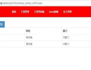 启明星员工工资自助查询平台