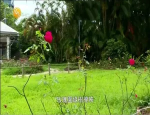 走马换将：大决战中的国军将领纪录片 720P 10集 国语中字