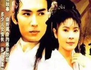 台湾情 1995年台湾电视剧 经典剧情-蓝海网