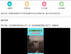 PHP短视频无水印在线解析源码