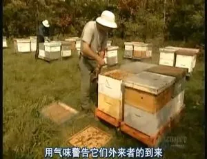 2011美国探索频道造物小百科揭秘制作奥秘 480P高清珍藏-蓝海网