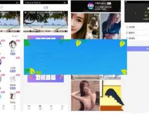安卓IOS双端原生聚合直播盒子源码+超级后台管理系统+独立代理系统一站式解决方案