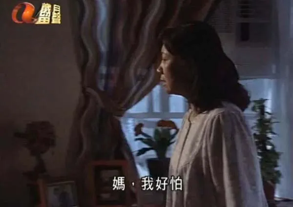 2003香港电视剧