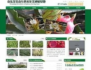 绿色火龙果苗种植基地网站模板-蓝海网