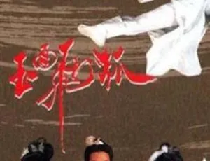 玉面飞狐 1989 香港经典剧情电视剧-蓝海网