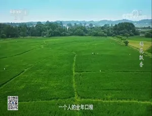 端牢中国饭碗 16集国语中字纪录片全集-蓝海网