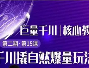 巨量千川激活自然流量：极速+专业推广组合爆单攻略极客DDOS网页端开发源码技术解析