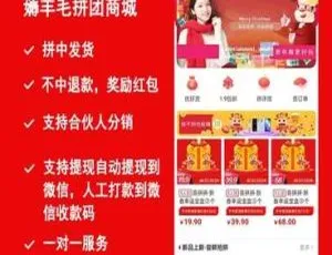 薅羊毛拼团商城小程序V1.6.4前端源码 最新版