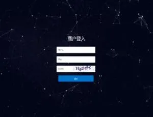 某站同款手工+API代付系统开发实战 高效实现支付对接教程-蓝海网