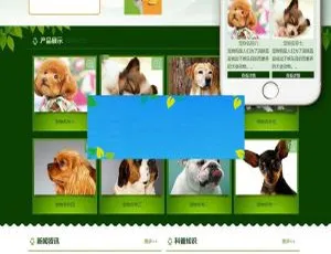 宠物狗机构网站模板 dedecms自适应手机端-蓝海网