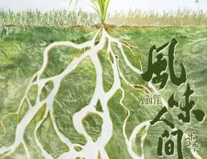 风味人间第四季 2022 更新至第1集 国语中字 高清纪录片