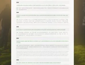 爬虫自动繁殖程序与SEO优化实战指南