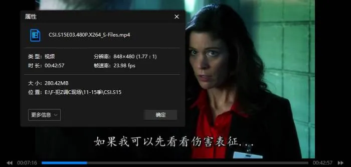 拉斯维加斯罪案剧