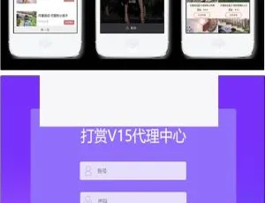 DS视频打赏系统V15全新升级 多级代理 试看体验 聚合支付 防封机制-蓝海网