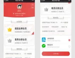 Discuz插件微信支付会员用户组商业版v2.18