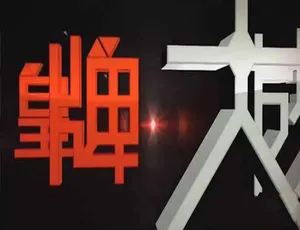 皇牌大放送2017纪录片全集高清720P1080i