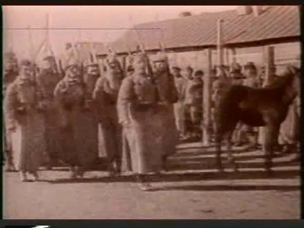 1969年自卫反击战