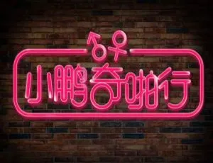 小鹏奇啪行全3季 番外 日本季 女版 越南季 短篇 90分钟精华版 彩蛋合集高清视频-蓝海网