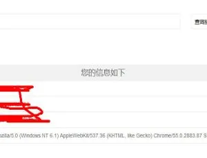 PHP多接口IP地址查询工具IPinfo源码