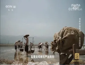 跟着书本去旅行 2021全年266集 720P国语中字纪录片全集-蓝海网