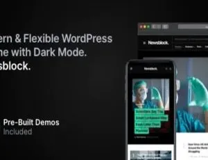Newsblock 黑暗模式现代新闻杂志WordPress主题模板-蓝海网