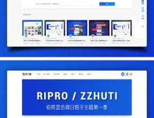 WordPress RIpro子主题Logo美化定制教程-蓝海网