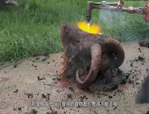 稀奇古怪的食物 Andrew Zimmern 全2季32集 1080P高清 英语中字