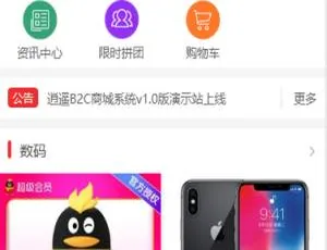 拼团商城系统｜自适应双端｜个人免签对接｜附教程-蓝海网