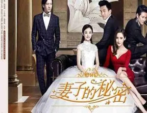 妻子的秘密 2014 大陆剧 54集全 国语中字 1080P高清收藏版