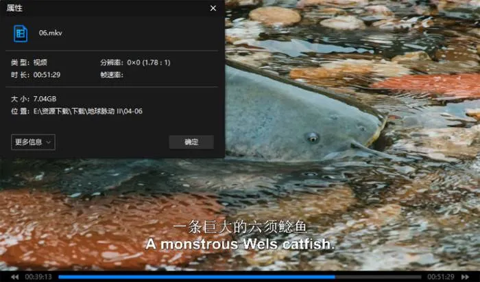 4K超高清自然纪录片