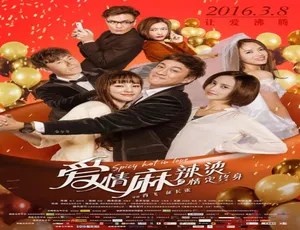 2016爱情麻辣烫之情定终身国语高清完整版