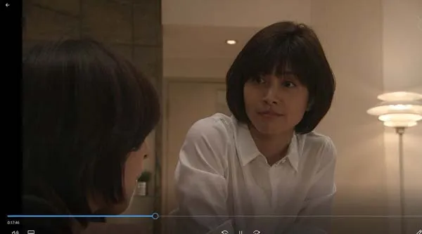 广末凉子 内田有纪 双女主