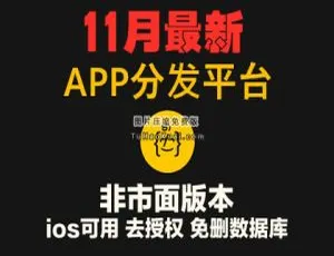 11月新版APP分发系统源码 封装托管平台一站式运营方案-蓝海网