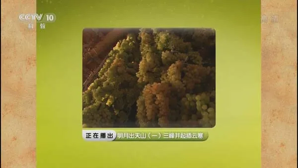 天山山脉生态