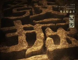 发掘记 央视纪录片全5集 4K国语中字完整版-蓝海网