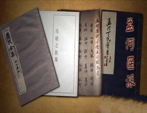 孟河医派纪录片全5集 TS蓝光高清-蓝海网