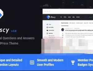 Discy 5.5.3中文汉化版：社交问答社区WordPress主题-蓝海网