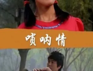 唢呐情 1999年中国大陆经典影片