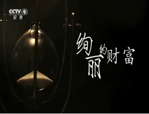 对望丝路新旅程纪录片全5集1080P高清国语中字完整版-蓝海网